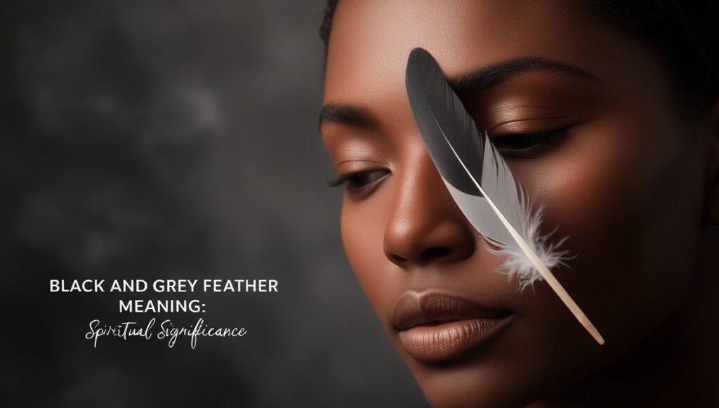 Black and Grey Feather Meaning