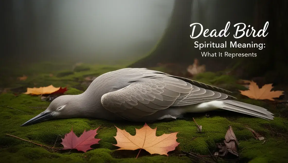 Cultural Interpretations of Dead Birds