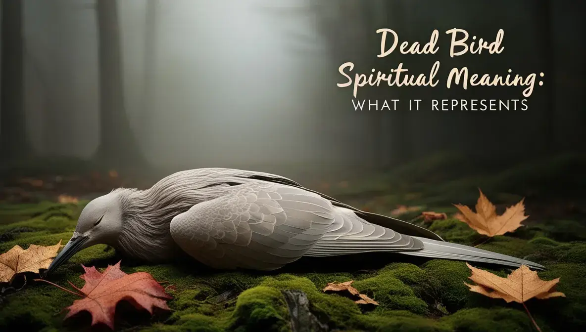 Dead Bird Spiritual Meaning What It Represents