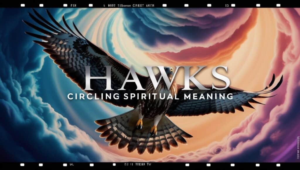 Hawks Circling Meaning