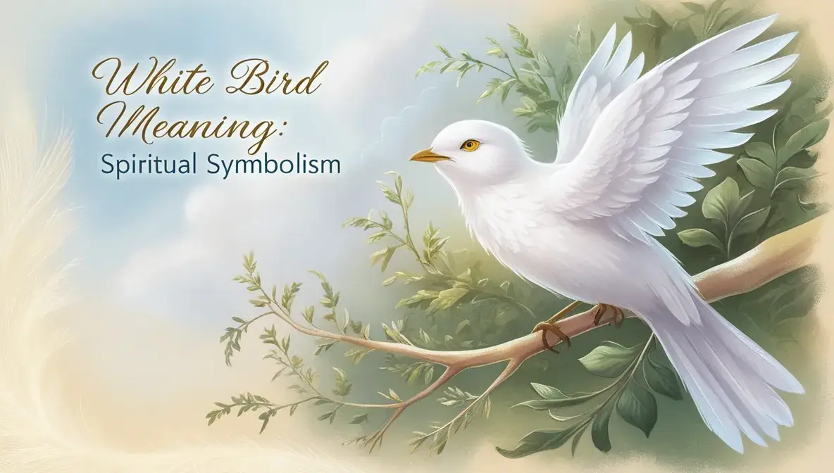 Signs from Nature White Bird Sightings