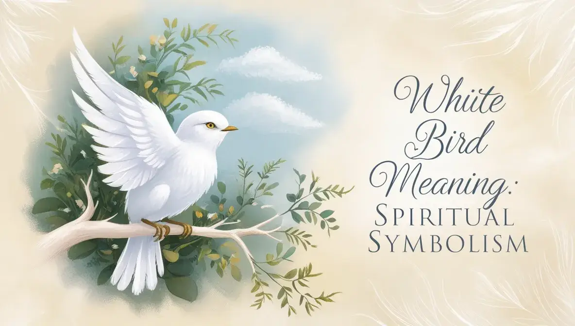 Spiritual Meaning of White Birds