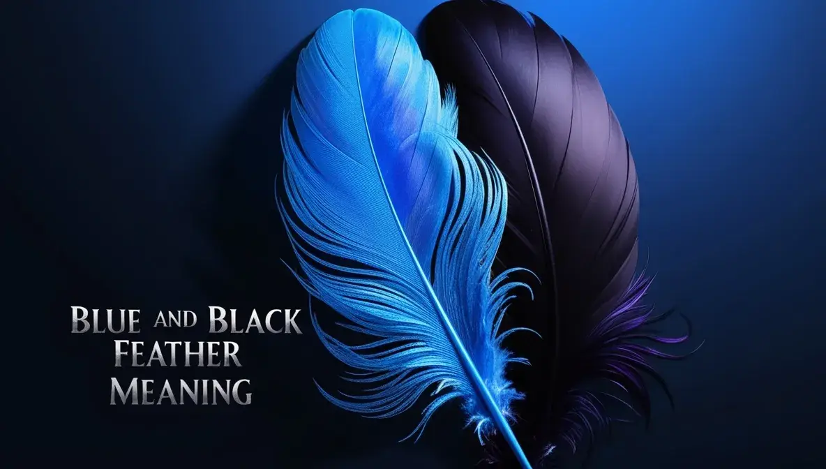 Blue and Black Feather Meaning Spiritual Insights