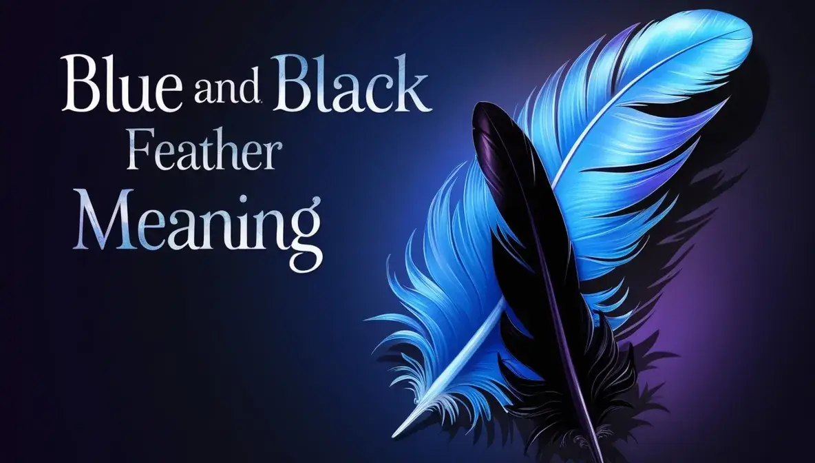 When Blue and Black Feathers Appear Together