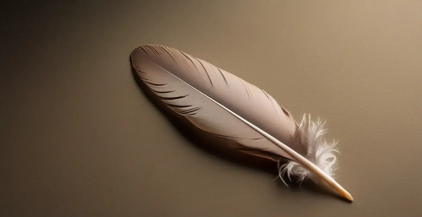 Mourning Dove Feather Meaning Spiritual Symbolism