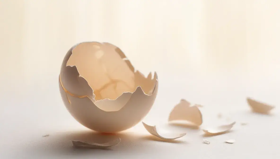 The Essence of the Eggshell